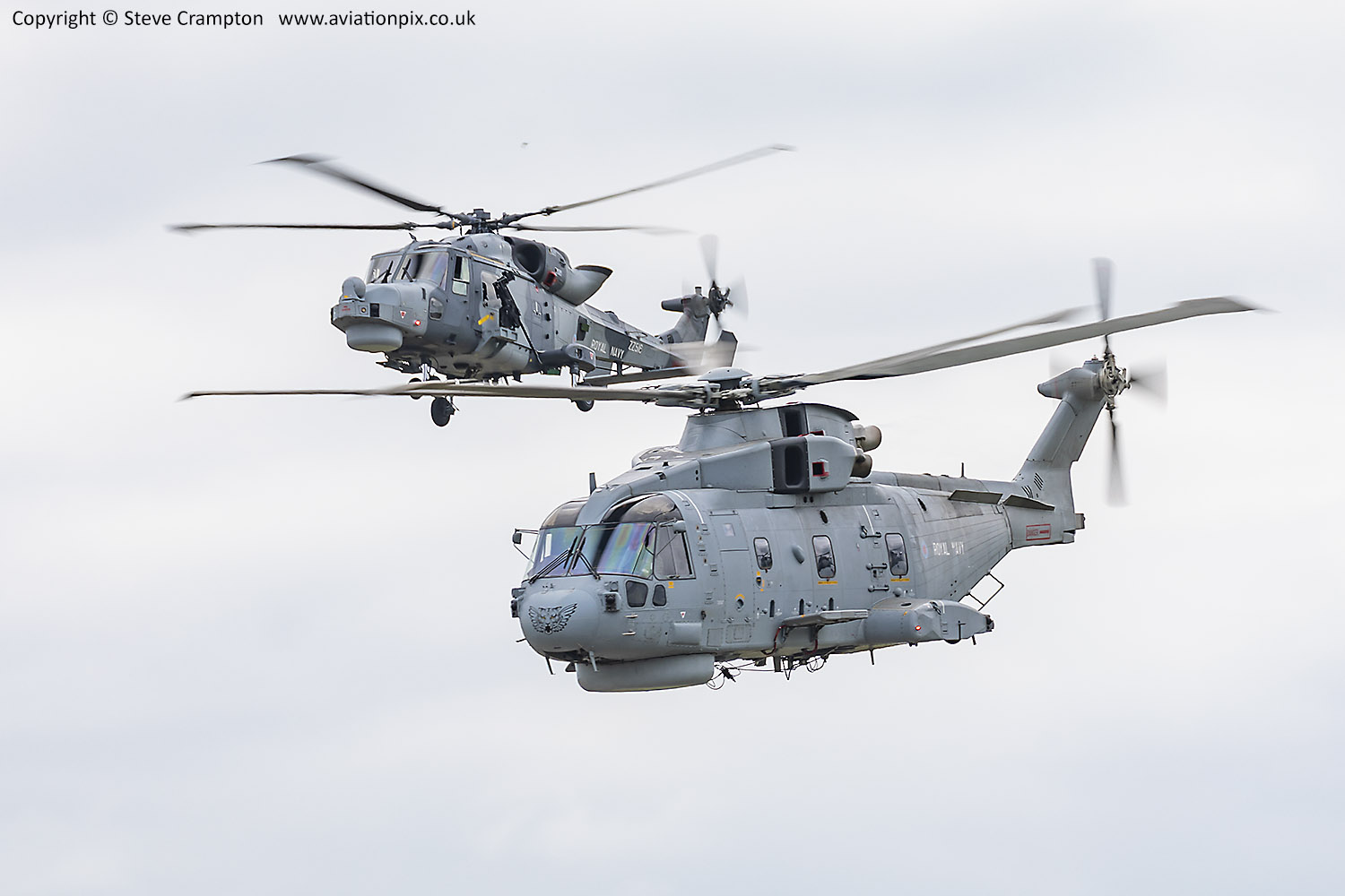 Merlin and Wildcat