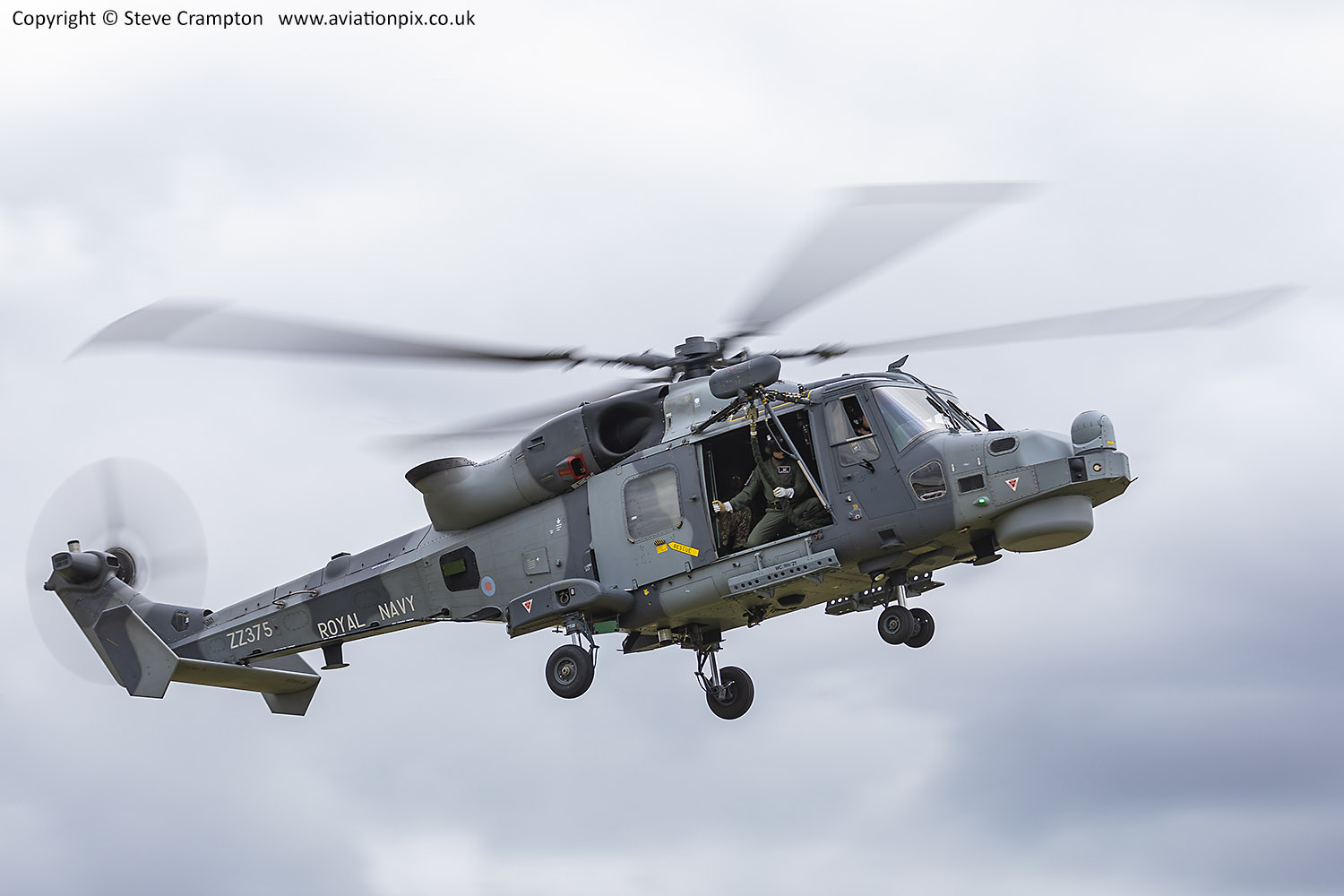 Wildcat