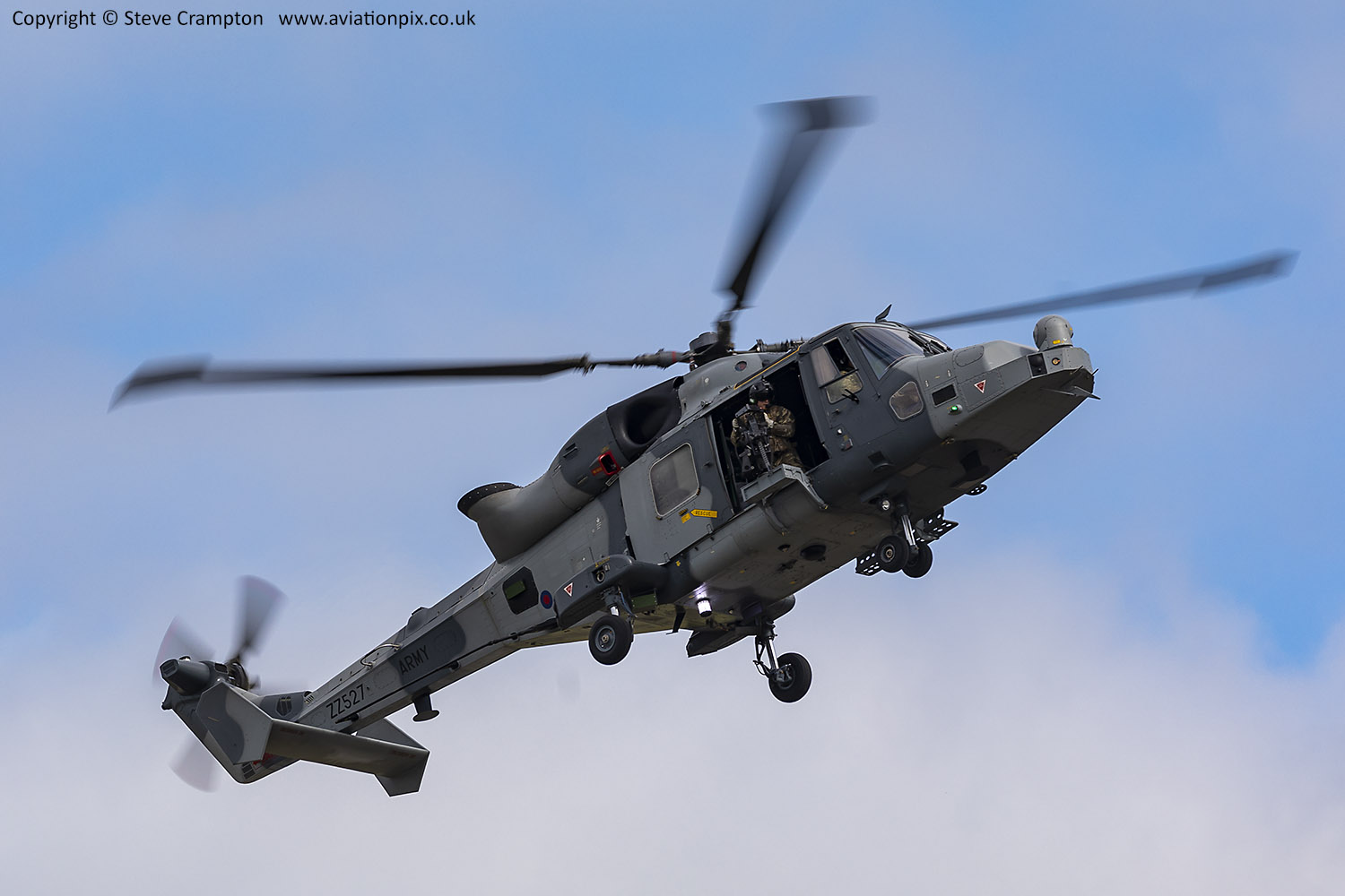 Wildcat