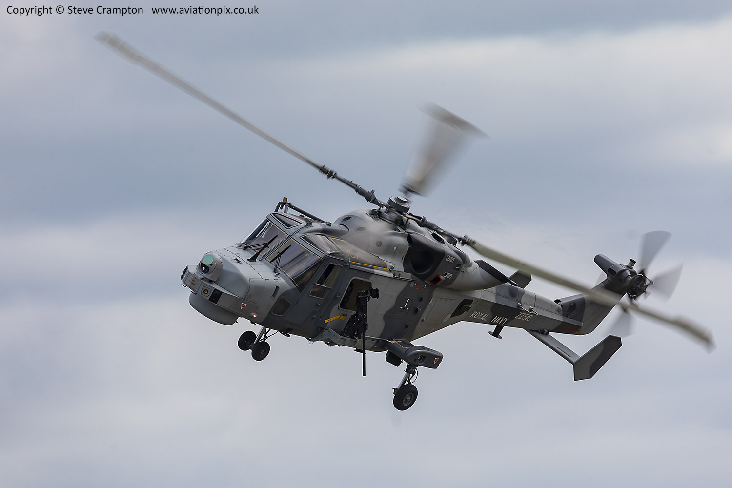 Wildcat