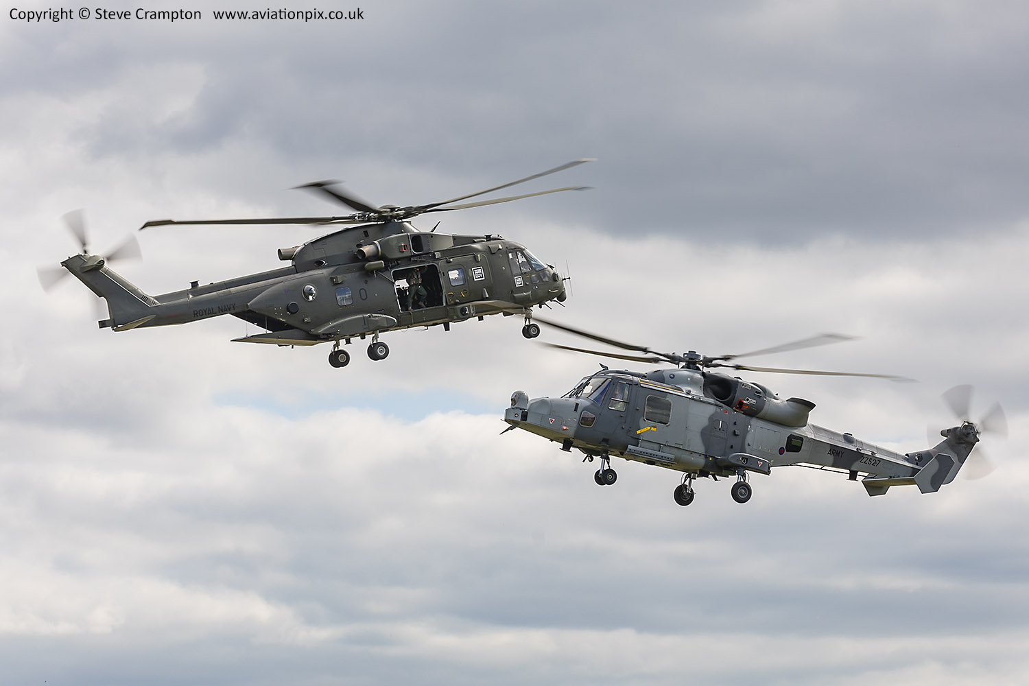 Merlin and Wildcat