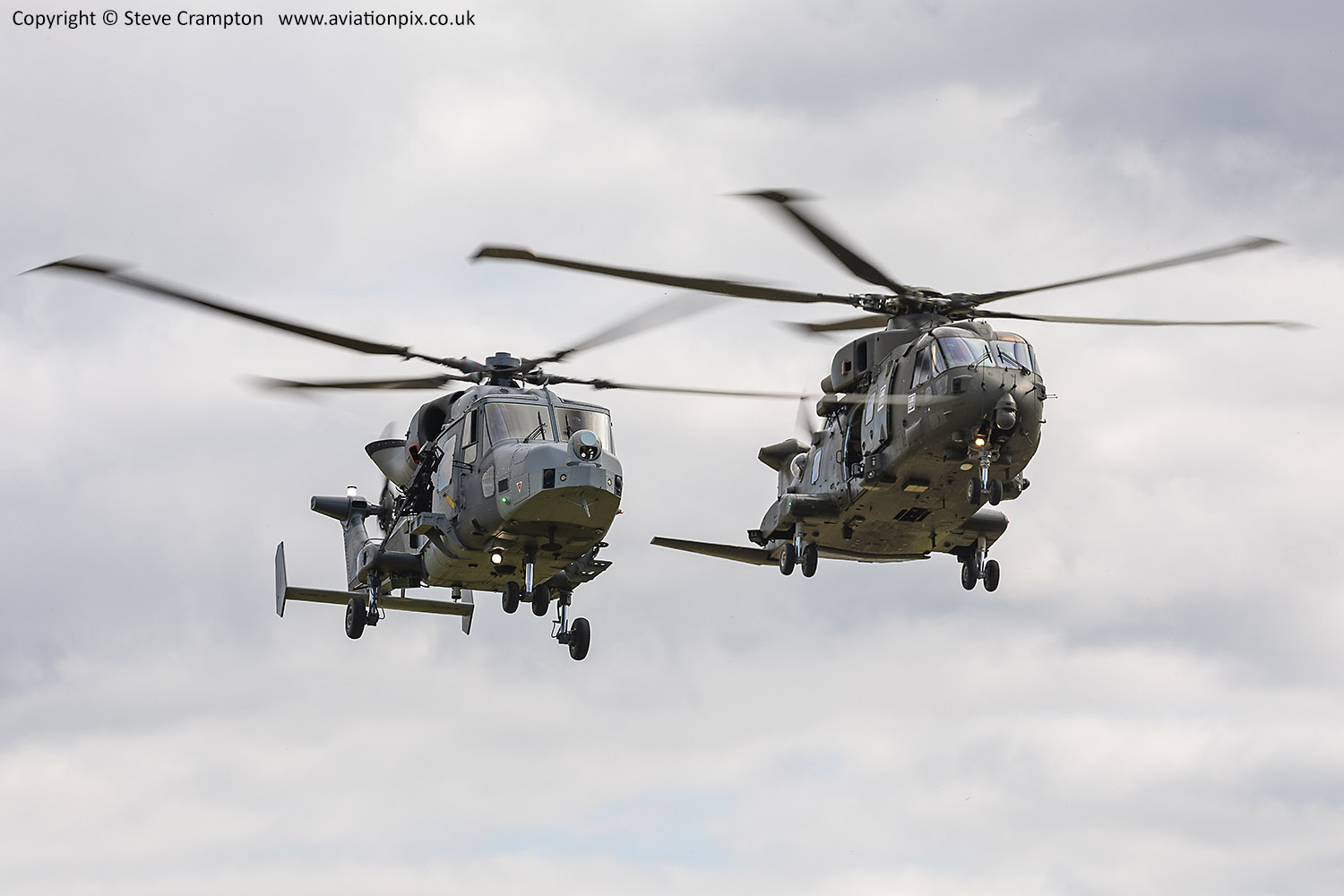 Merlin and Wildcat