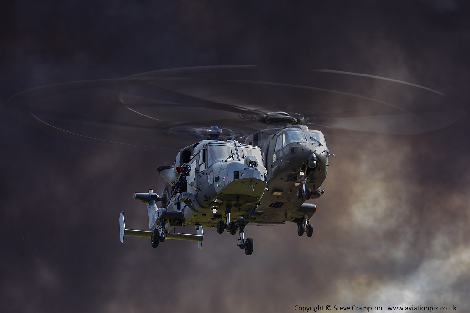 Wildcat and Merlin