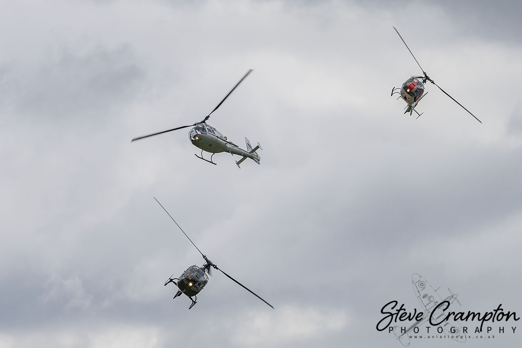 Gazelle squadron