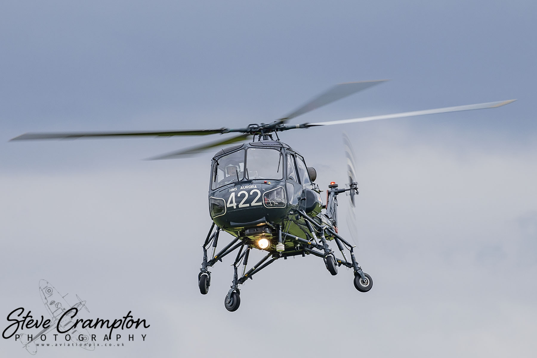 Westland Wasp