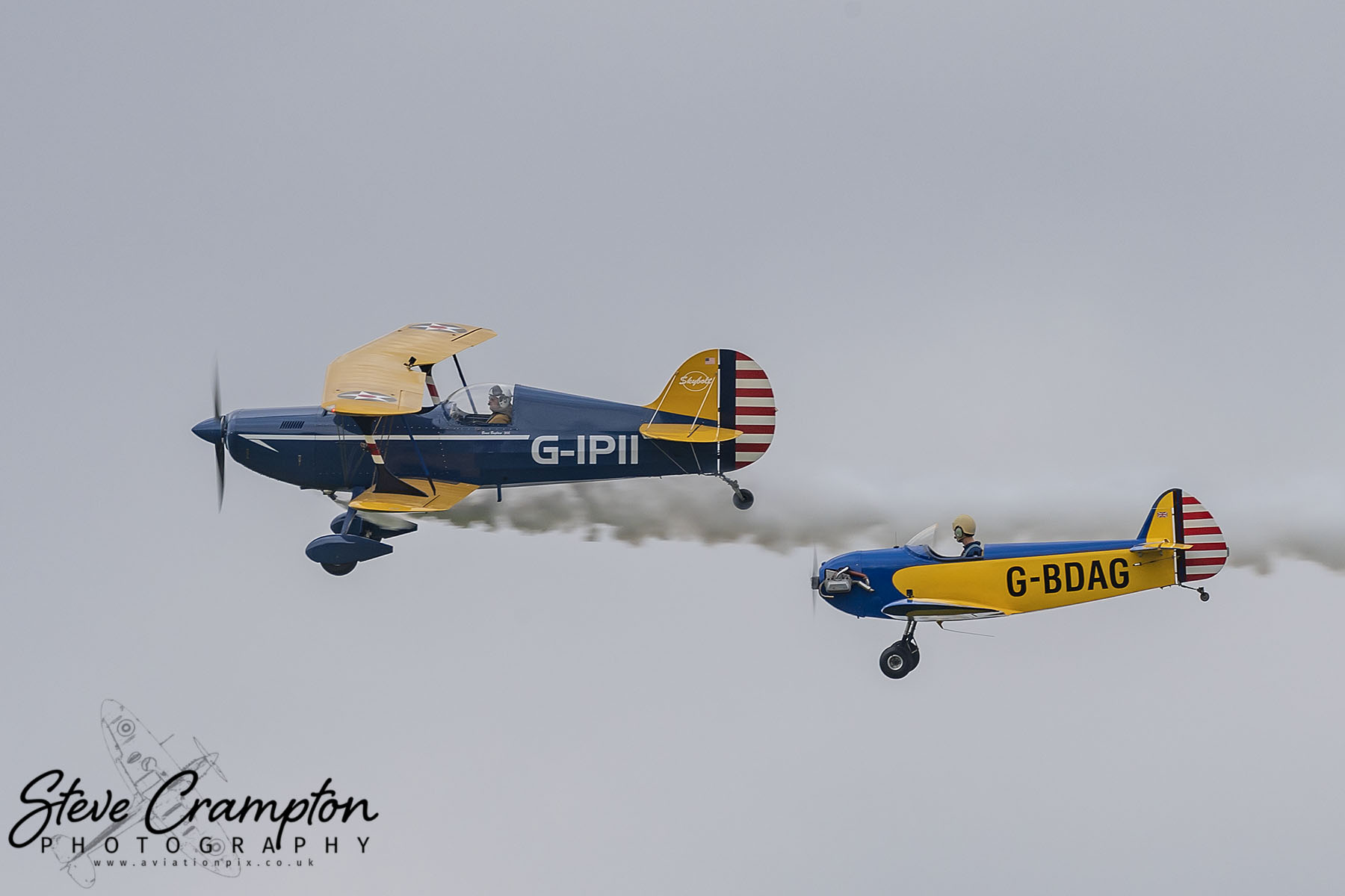Taylor JT.1 Monoplane and Steen Skybolt