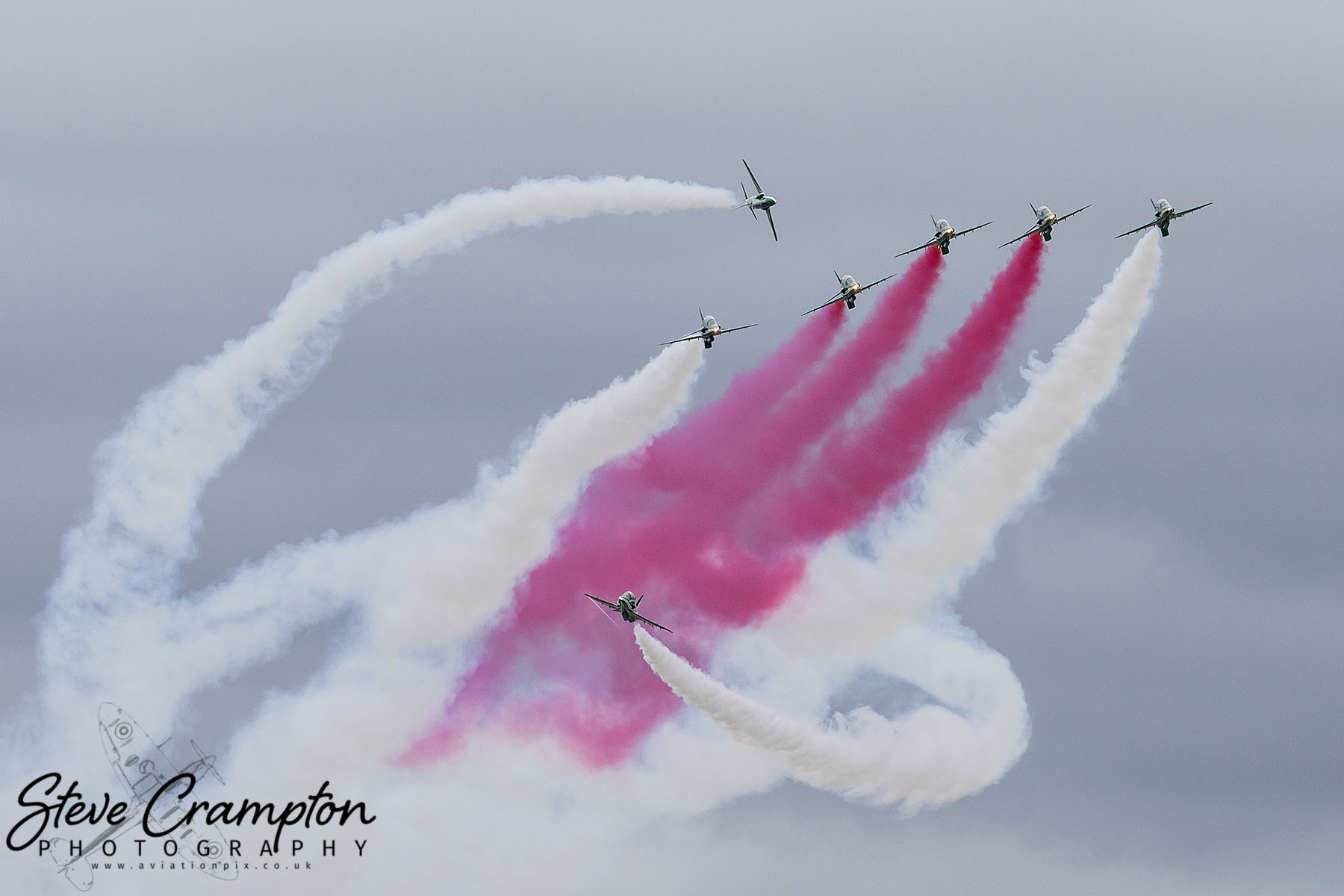 Saudi Hawks