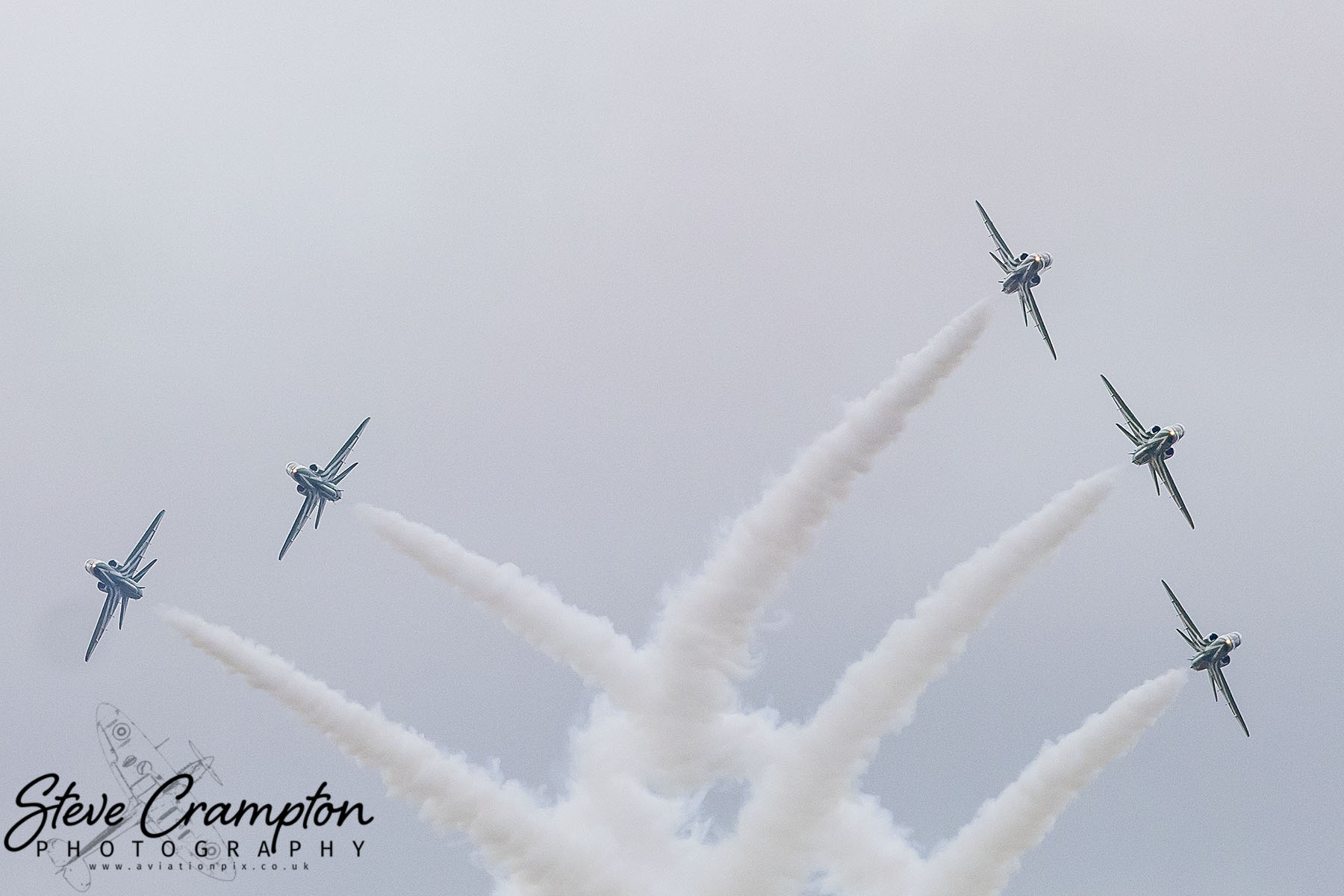 Saudi Hawks