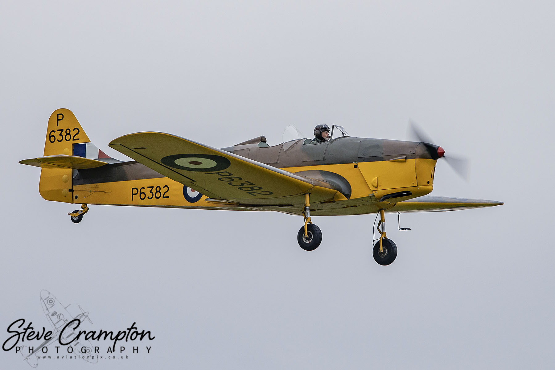Miles Magister