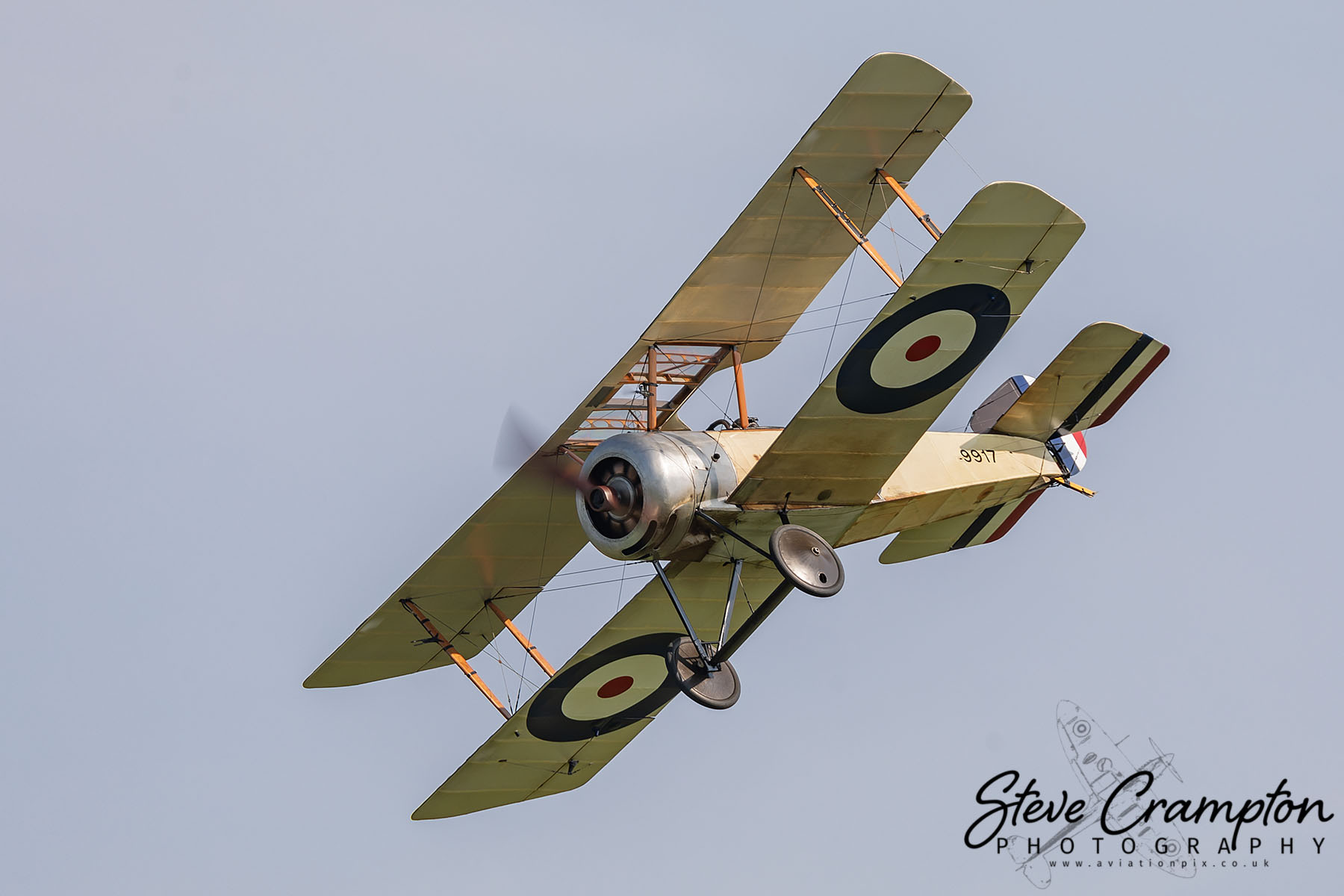 Sopwith Pup - 9917