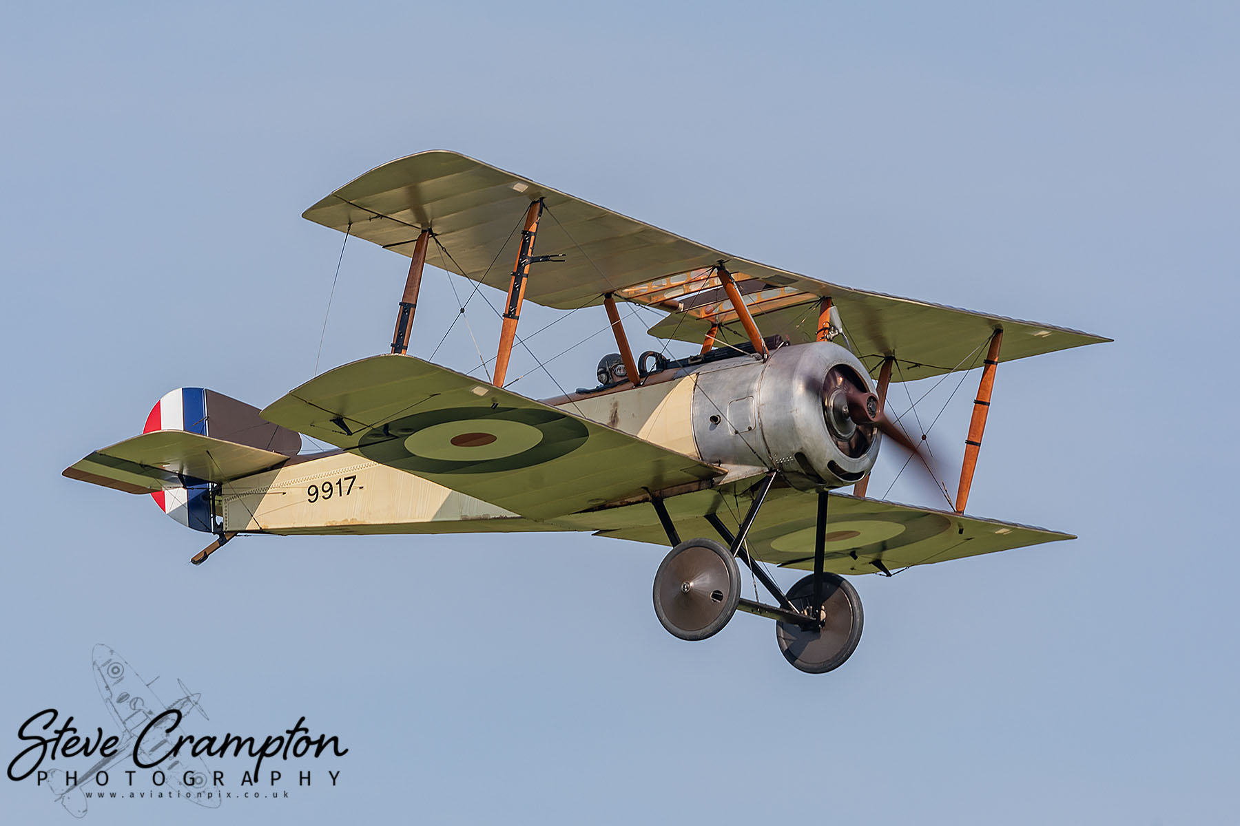 Sopwith Pup - 9917