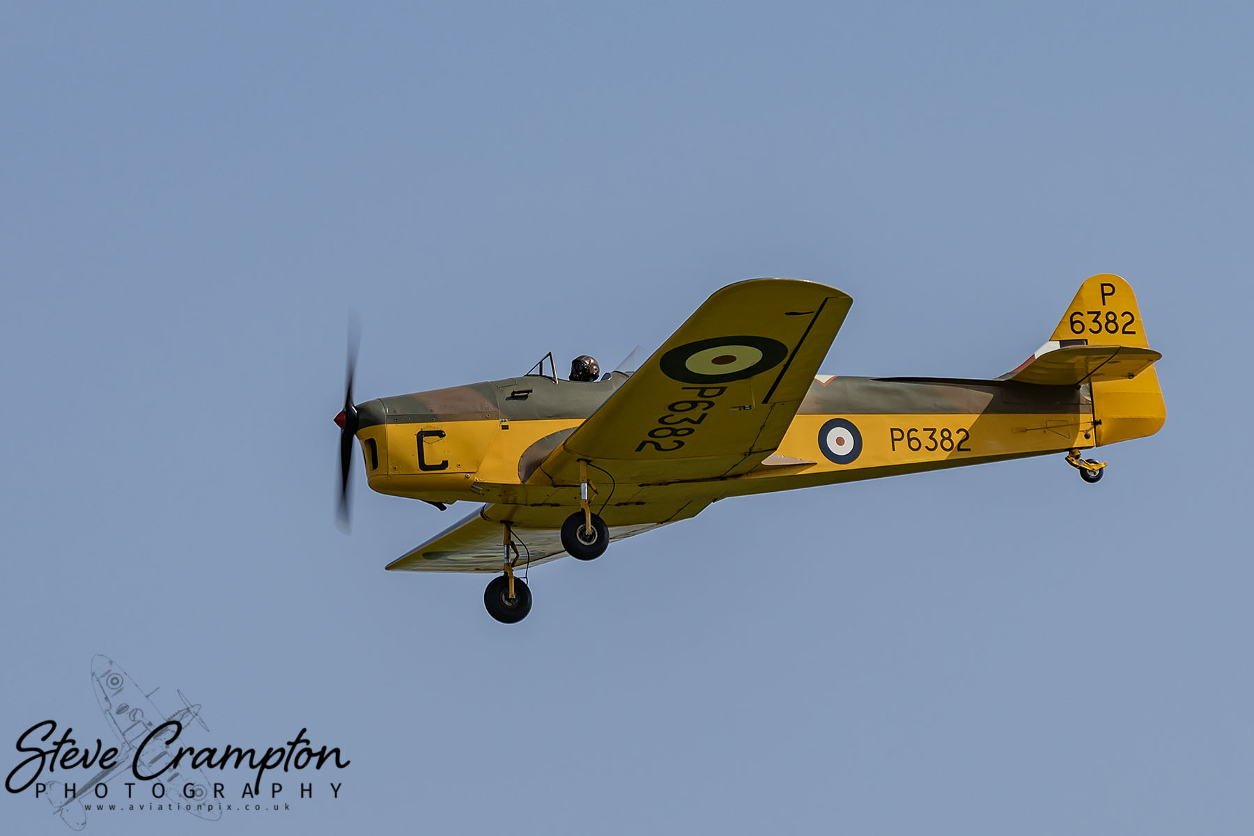 Miles Magister - P6382