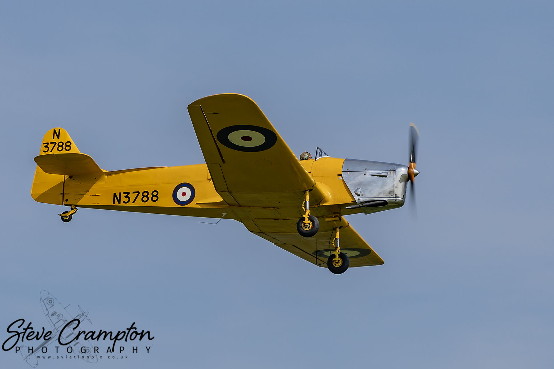 Miles Magister - N3788